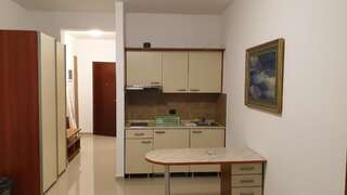 Апартаменты Apartmani Svetionik Будва Апартаменты с 1 спальней-5